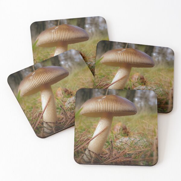 Item preview, Autumn colours designed and sold by DaveEssonPhotos.