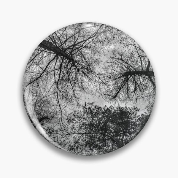 Artikelvorschau, Schwarzweißbäume entworfen und verkauft von DaveEssonPhotos.