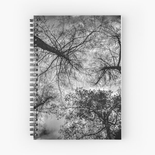 Item preview, Árboles B & W designed and sold by DaveEssonPhotos.