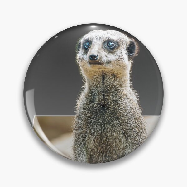 Item preview, Meerkat Love designed and sold by mhfore.