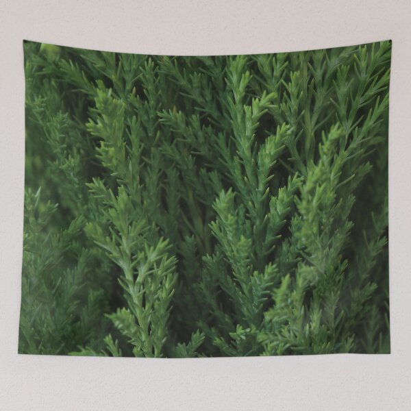 Item preview, Juniper designed and sold by Nerone.