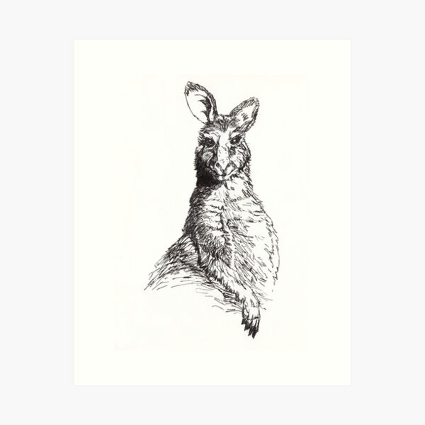 Wallaby Art Print