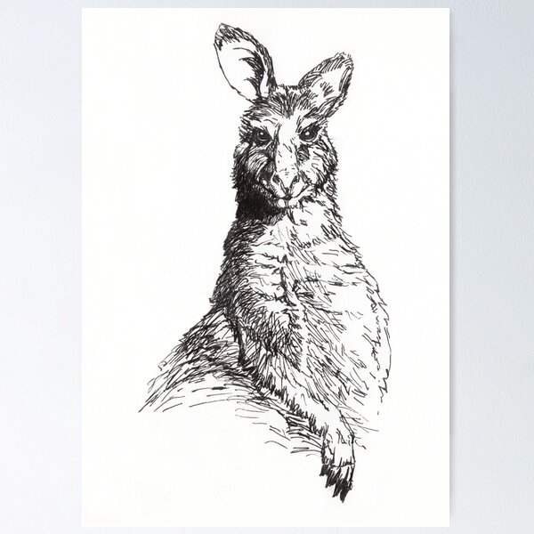 Wallaby Poster