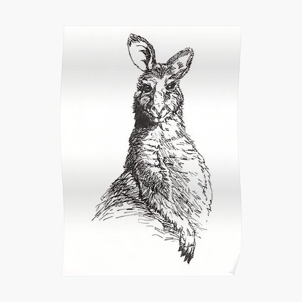 Wallaby Poster
