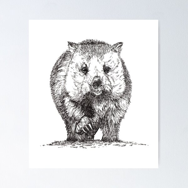 Wombat Poster