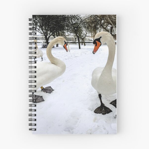 Item preview, Snow Patrol designed and sold by mhfore.
