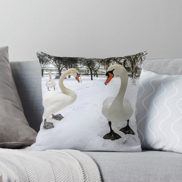 Item preview, Snow Patrol designed and sold by mhfore.