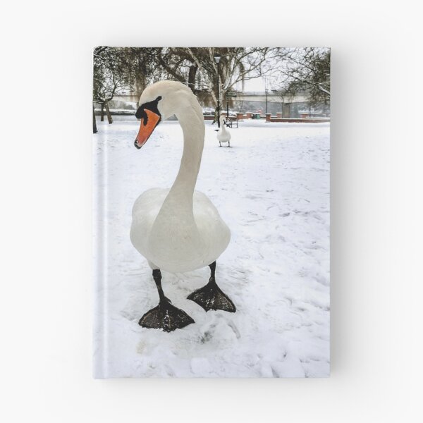 Item preview, Snow Patrol designed and sold by mhfore.