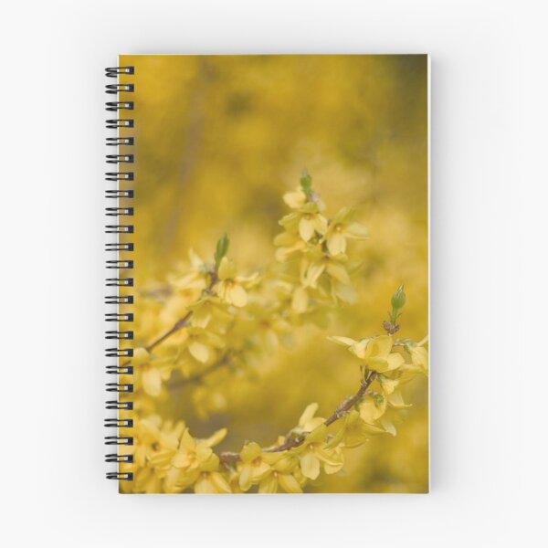 Item preview, Forsythia designed and sold by Sybille-Yates.