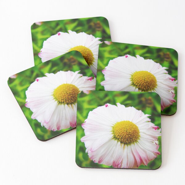 Item preview, Chamomile designed and sold by keisthard.