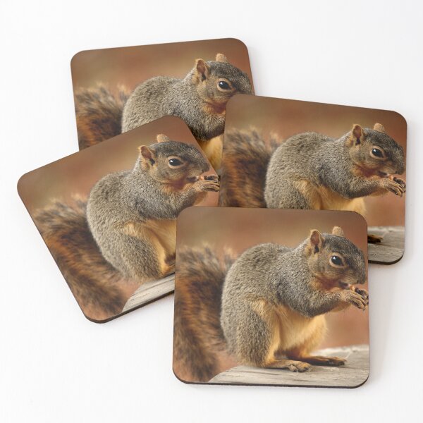 Item preview, A Brown Squirrel feeding on a nut designed and sold by jklune.