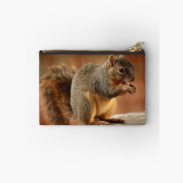Item preview, A Brown Squirrel feeding on a nut designed and sold by jklune.