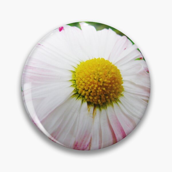 Item preview, Chamomile designed and sold by keisthard.