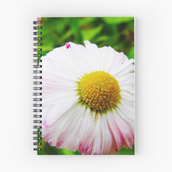 Item preview, Chamomile designed and sold by keisthard.
