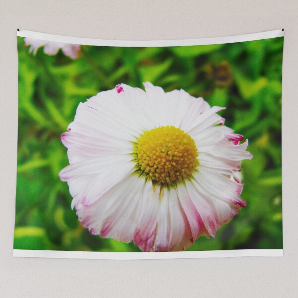 Item preview, Chamomile designed and sold by keisthard.
