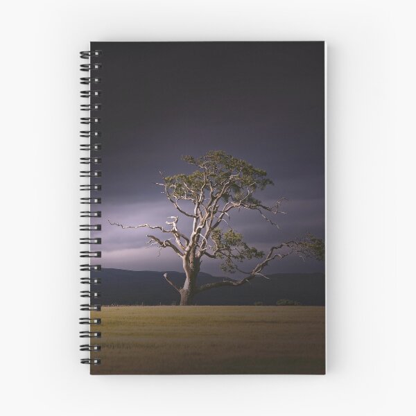 Item preview, Sidelit designed and sold by ShinyPhoto.