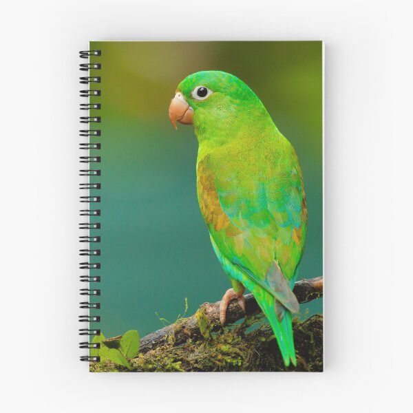 Item preview, Green Tropical Parrot Bird designed and sold by Alladin7.