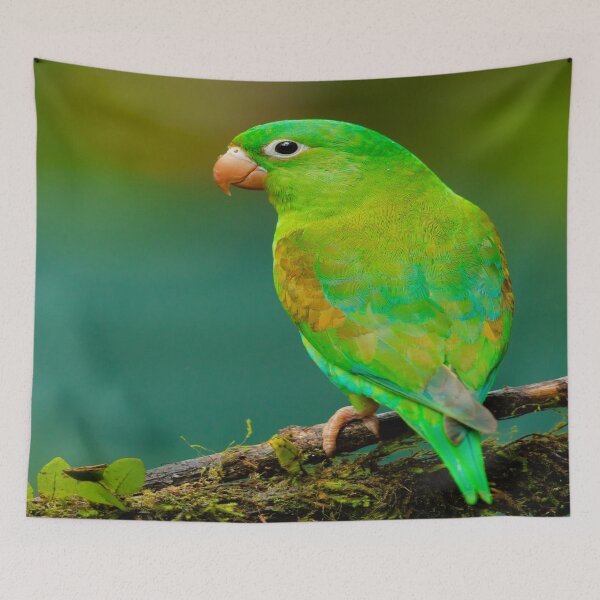 Item preview, Green Tropical Parrot Bird designed and sold by Alladin7.