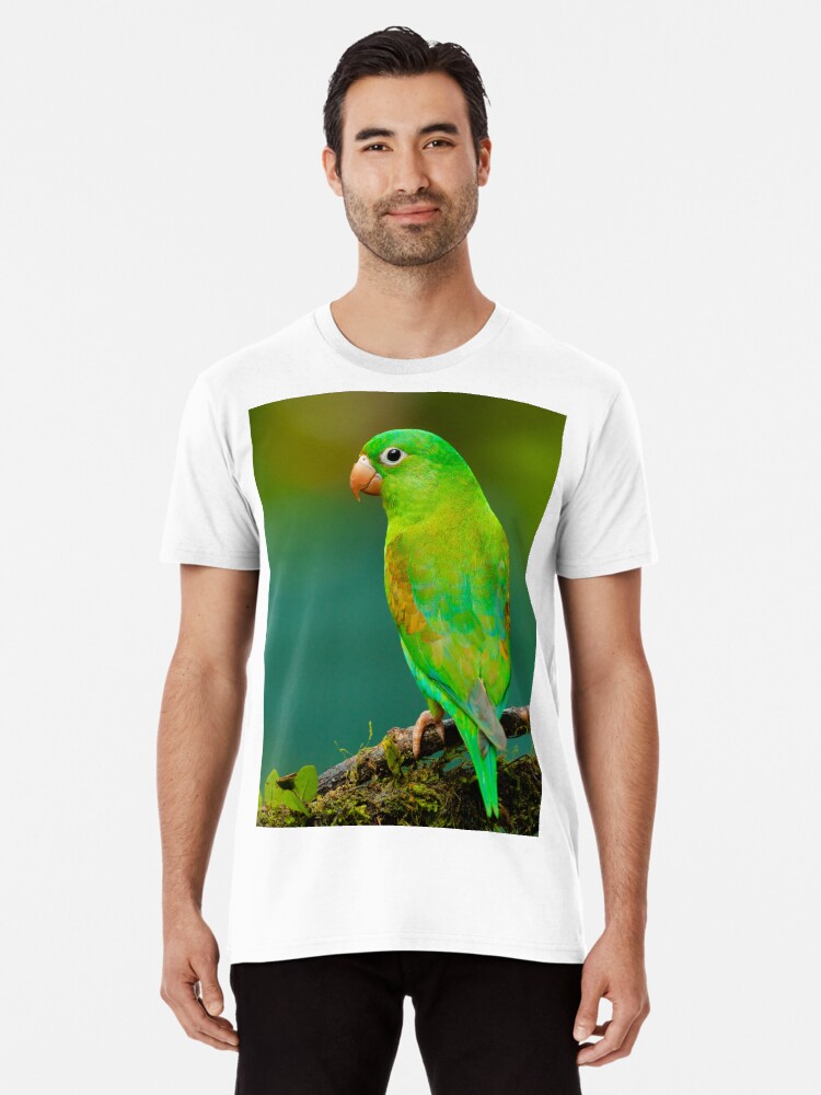 Parrot cheap print shirt