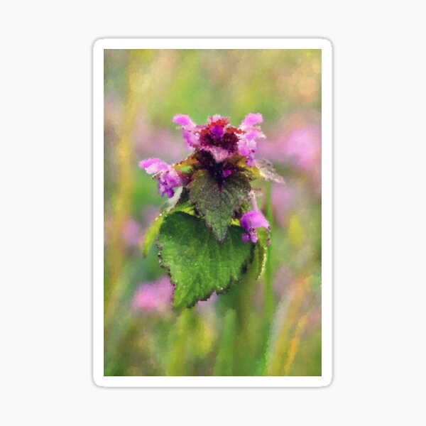 Blooming Wildflower Sticker