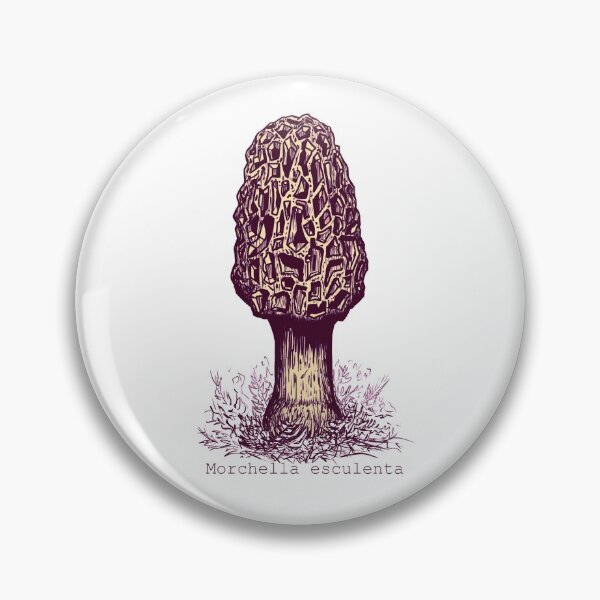 Item preview, The Mystical Morel Mushroom in Sepia Tone designed and sold by mserido.