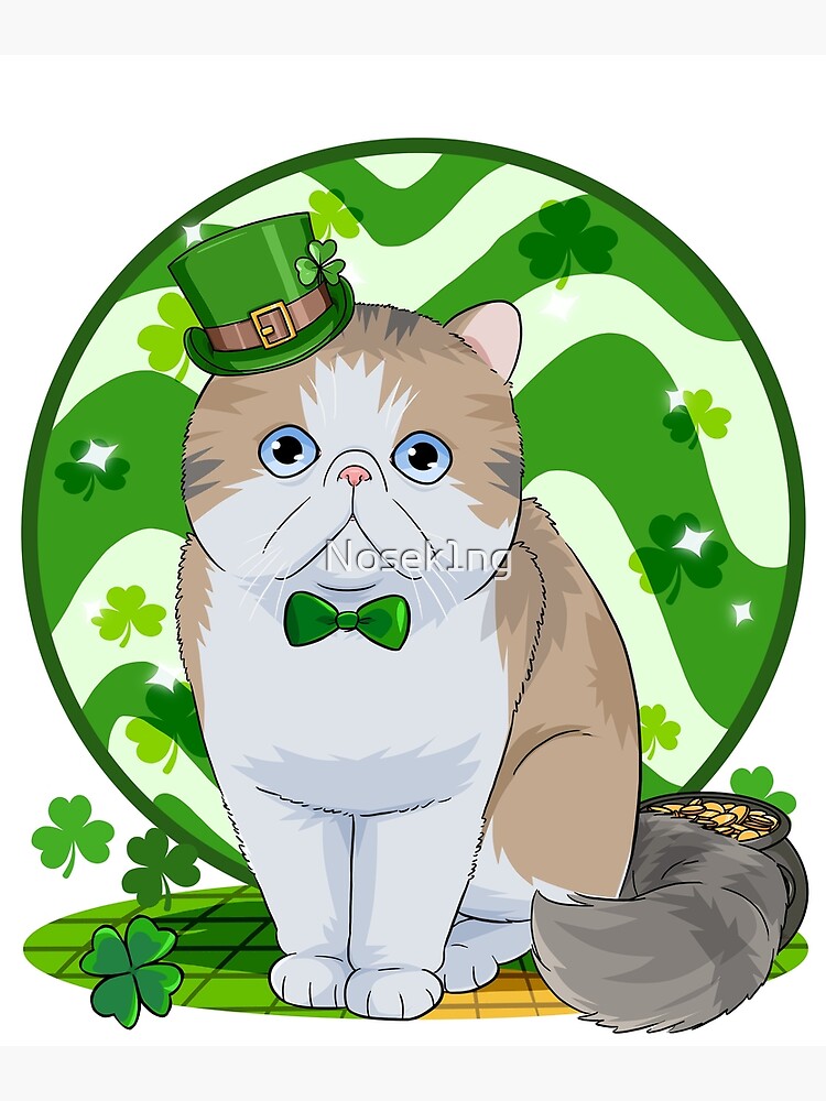 Exotic Shorthair Cat Irish Leprechaun Patricks Day Photographic Print