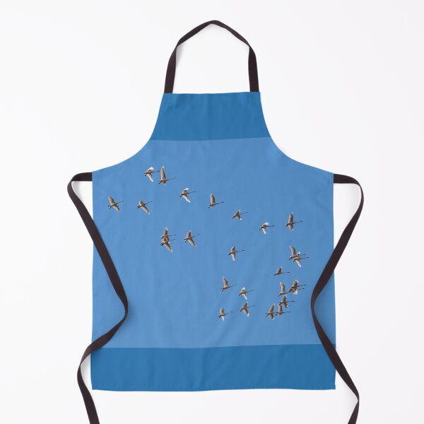 Item preview, Today the sky is blue so enjoy. Whooper swan designed and sold by Jouko Lehto Photography.