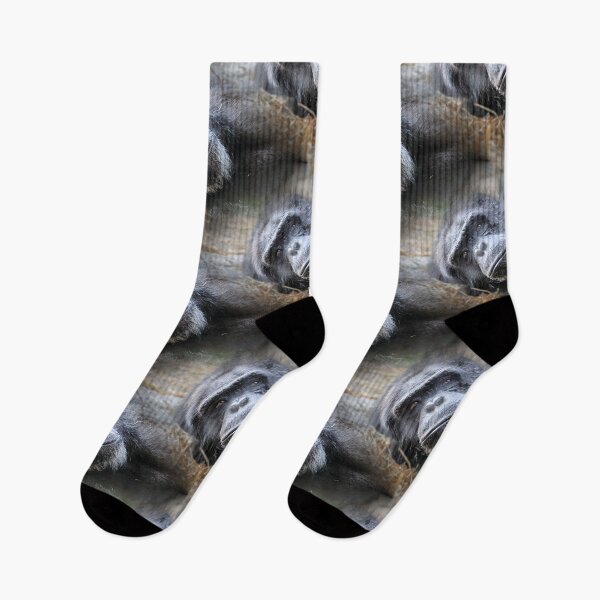 Item preview, Chimpanzee designed and sold by HisRuin.