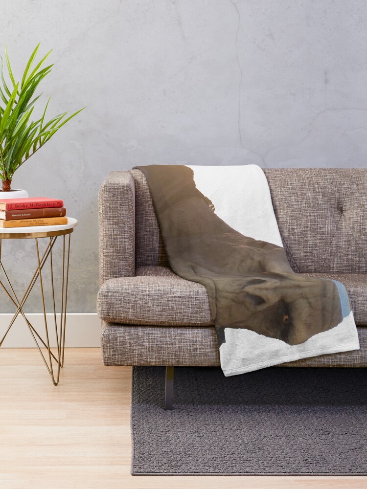 Alternate view of Craig the brute meme Throw Blanket