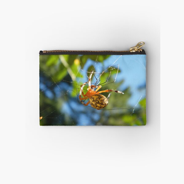 Item preview, Marbled Orb Weaver Spider - Marshfield, MA designed and sold by SouthShorePics.