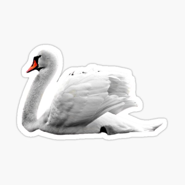 Item preview, swan designed and sold by TravelTemple.