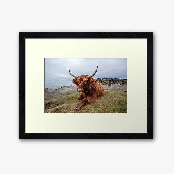 Chilling Out Framed Art Print