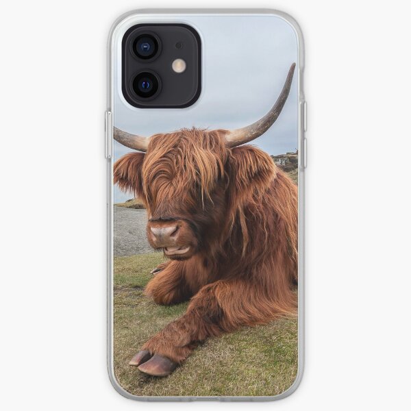 Chilling Out iPhone Soft Case