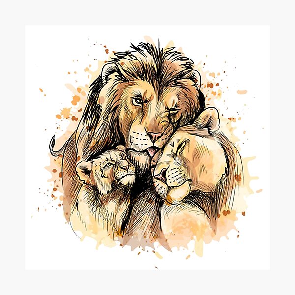 Lámina fotográfica «Familia de Leones» de glincoln88 | Redbubble