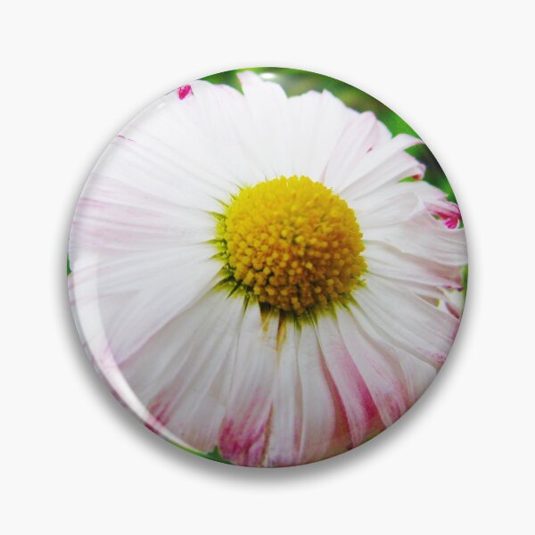 Item preview, chamomile  designed and sold by keisthard.