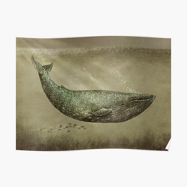 Damask Whale Poster