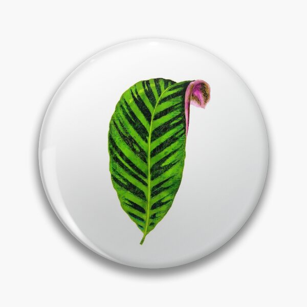 Item preview, Calathea Zebrina Planta Hoja designed and sold by TheBearandBunny.