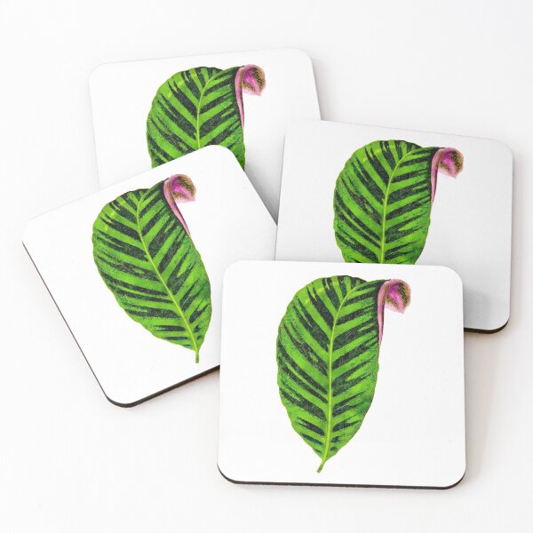 Item preview, Calathea Zebrina Plant Leaf designed and sold by TheBearandBunny.