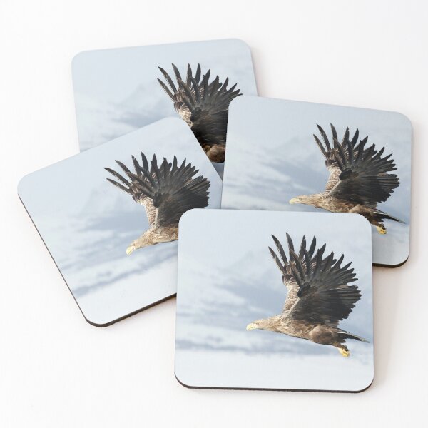 Item preview, White-tailed Eagle in Flight designed and sold by dgwildlife.