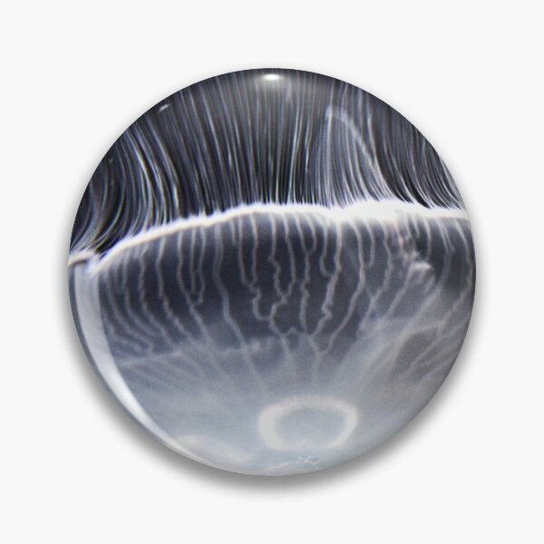 Item preview, Moon Jellyfish designed and sold by HisRuin.