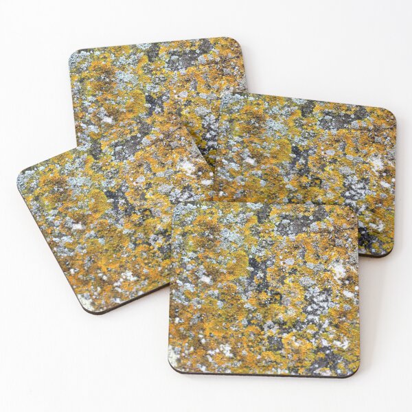 Item preview, Lychen on stone yellow black designed and sold by chihuahuashower.