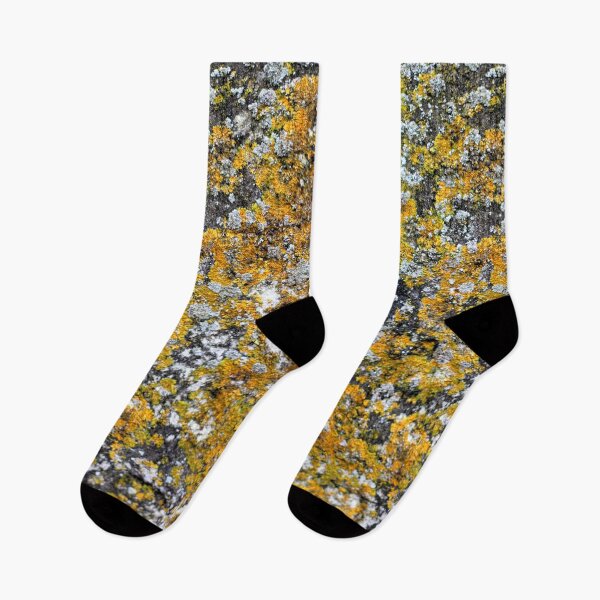 Item preview, Lychen on stone yellow black designed and sold by chihuahuashower.