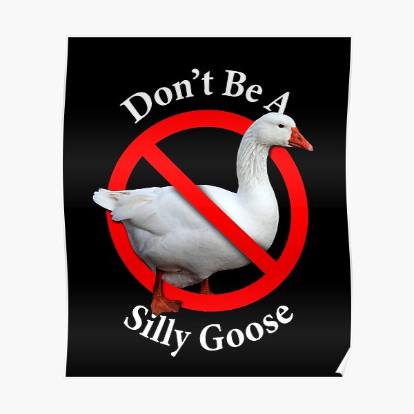 Don't Be A Silly Goose - Don't be Stupid Poster