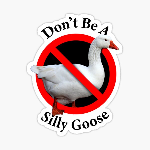 Don't Be A Silly Goose - Don't be Stupid Sticker