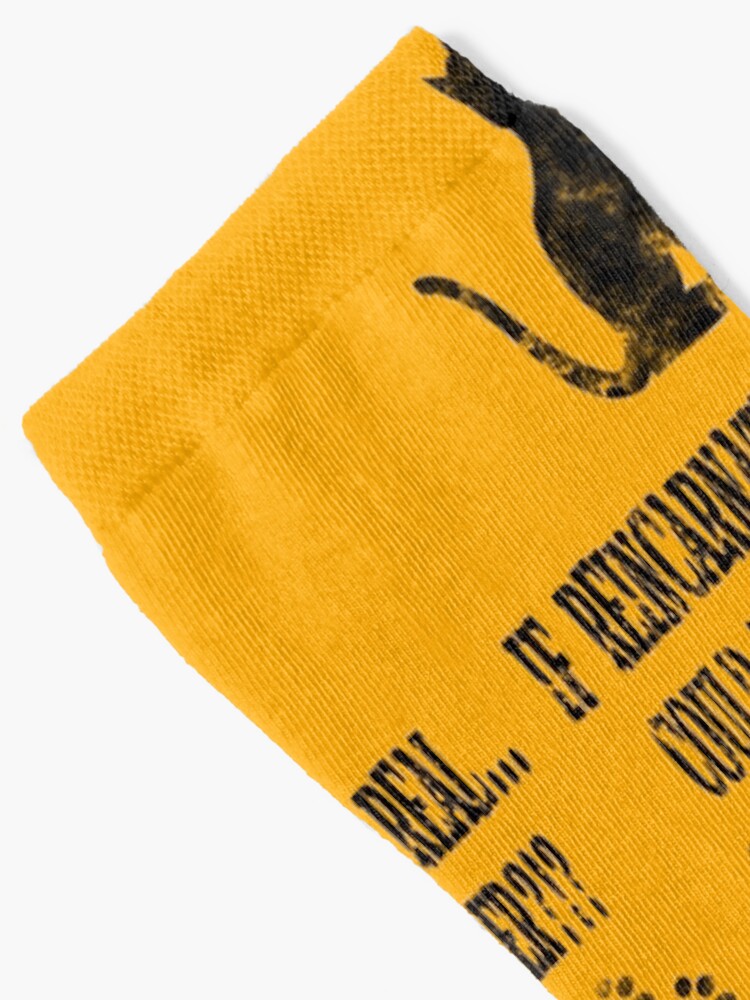 Chaussettes Si La Reincarnation Est Reelle Mon Chat Pourrait Il Etre Hitler Par Shaynetwright Redbubble