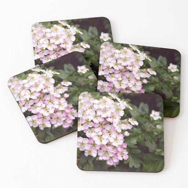 Item preview, Rosethorn designed and sold by Sybille-Yates.