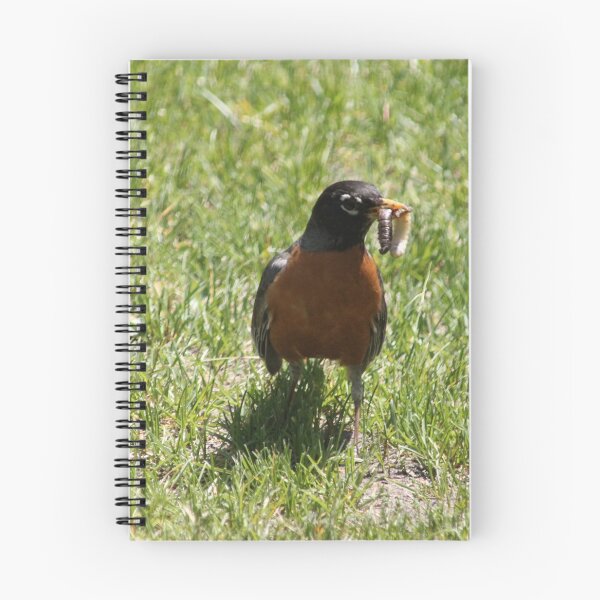 Item preview, Robin Finding Food designed and sold by SariePhotograph.