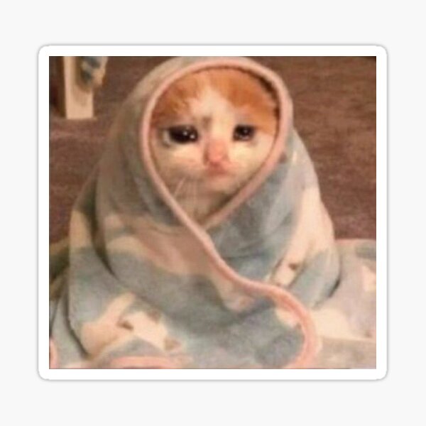 Sad Crying Cat Meme Sticker By P0pculture3 Redbubble