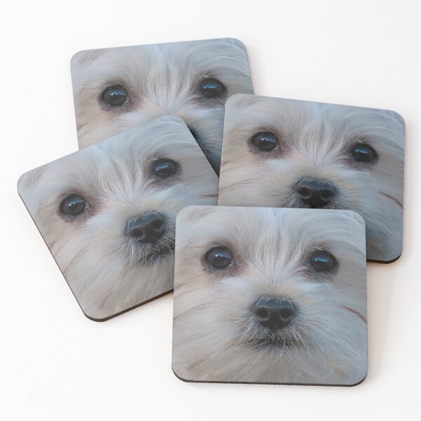 Item preview, Lifelike Dog White Maltese Gifts designed and sold by . JustBeUnique ..