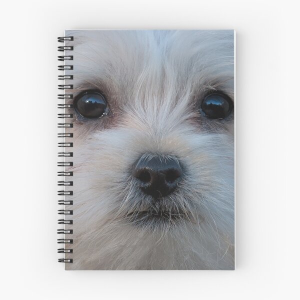 Item preview, Lifelike Dog White Maltese Gifts designed and sold by . JustBeUnique ..